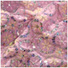 Embroidered Sequins Allover Embroidered Sequins Allover